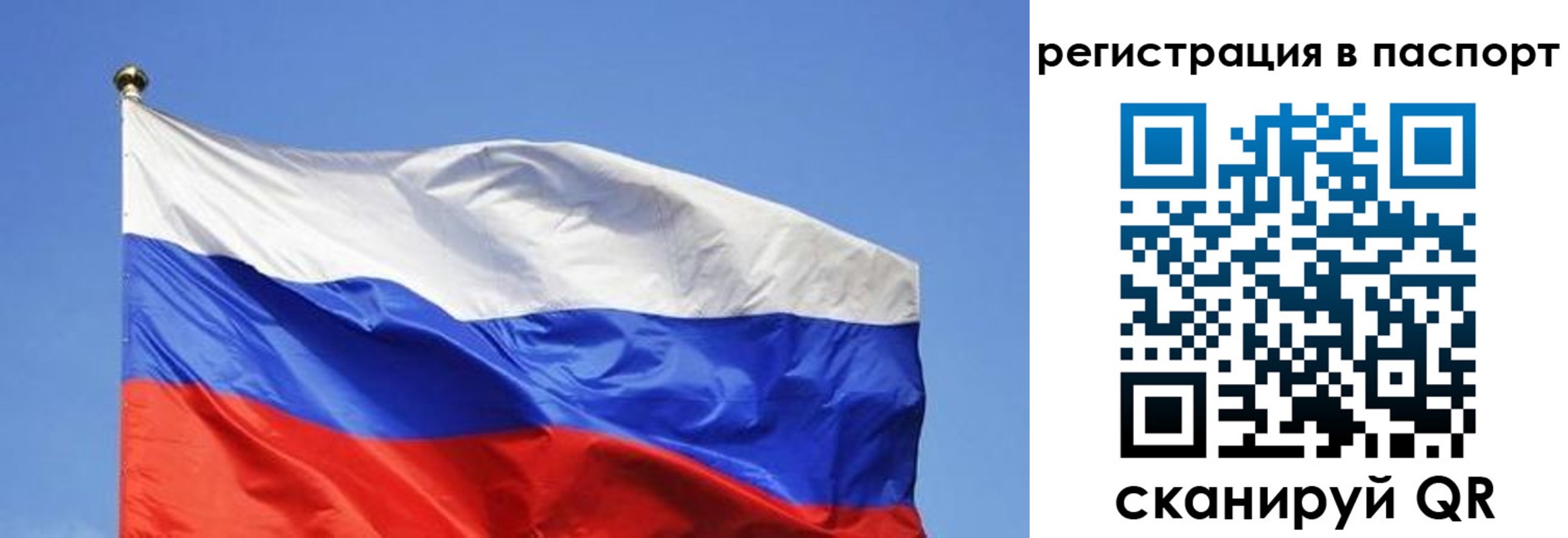 прописка в квартире в Сафоново